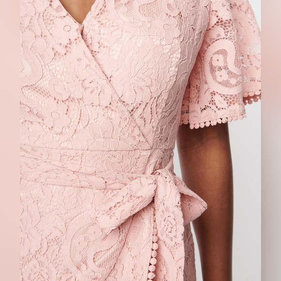 Dust Pink Lace Le Lune Dress - Picture 3 of 3